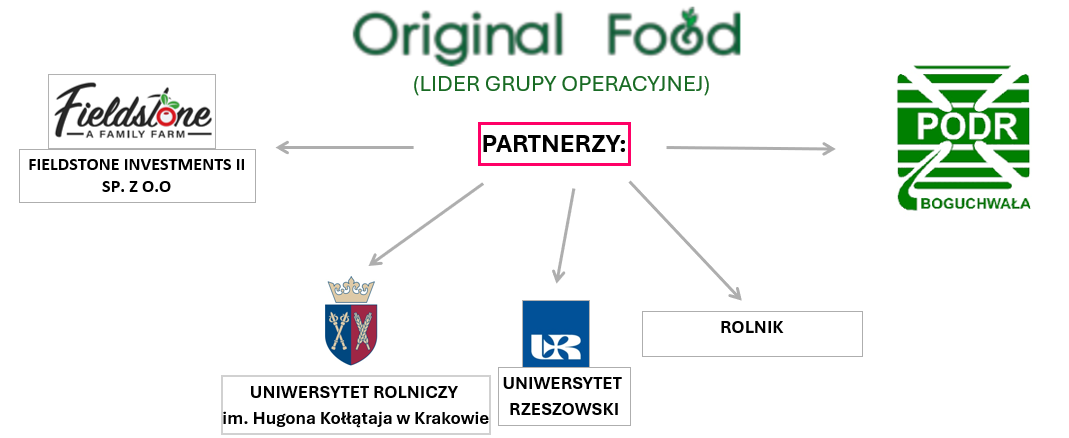 Originalfood-1